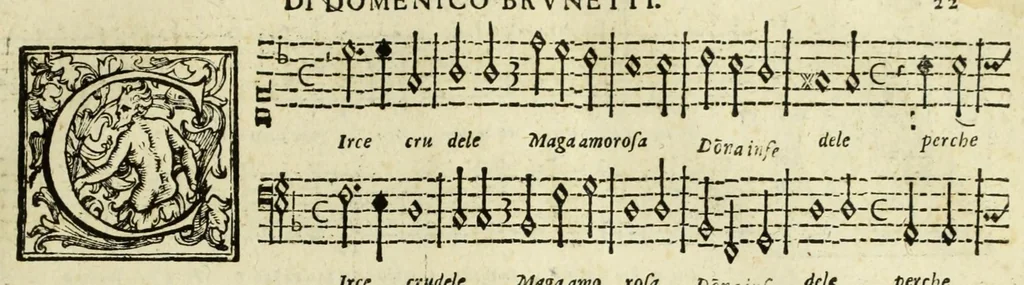 An illustration from L'evterpe, 1606, leaf 29