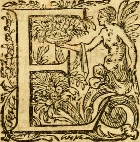 An illustration from Lexicon graecolatinum : seu, Epitome Thesauri graecae linguae ab Henrico Stephano constructi, quae hactenus sub nomine Ioh: Scapulae prodiit: lexicon sanè ultra praecedentes editiones, innumeris dictionibus, è probatis autoribus petitis, locupletatum .., 1616, leaf 13
