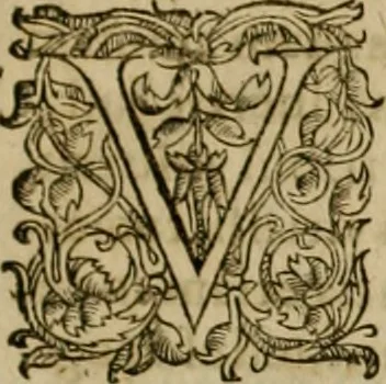 An illustration from Lexicon iuridicum iuris caesarei simul et canonici : feudalis item, ciuilis, criminalis, theoretici ac practici, & in schola & in foro vsitatarum, ac tum ex ipso iuris vtriusque corpore, tum ex doctoribus & glossis, tam veteribus quàm recentioribus collectarum vocum penus : simul & locorum communium, & dictionarij vicem sustinens ..., 1653, leaf 12