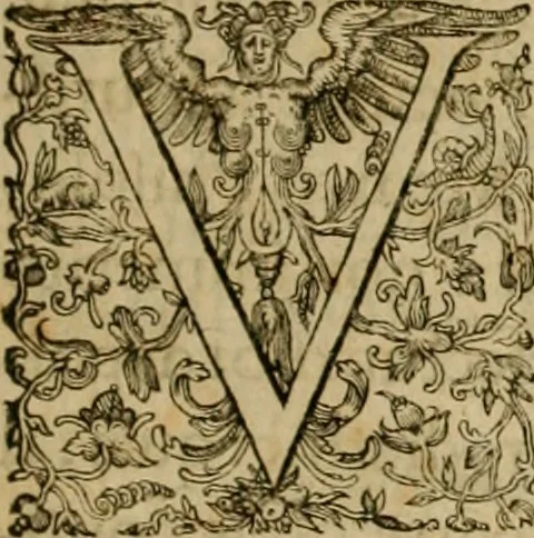 An illustration from Lexicon iuridicum iuris caesarei simul et canonici : feudalis item, ciuilis, criminalis, theoretici ac practici, & in schola & in foro vsitatarum, ac tum ex ipso iuris vtriusque corpore, tum ex doctoribus & glossis, tam veteribus quàm recentioribus collectarum vocum penus : simul & locorum communium, & dictionarij vicem sustinens ..., 1653, leaf 8