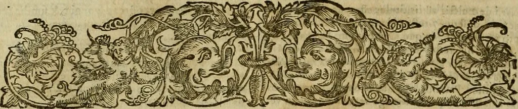 An illustration from Lexicon iuridicum iuris caesarei simul et canonici : feudalis item, ciuilis, criminalis, theoretici ac practici, & in schola & in foro vsitatarum, ac tum ex ipso iuris vtriusque corpore, tum ex doctoribus & glossis, tam veteribus quàm recentioribus collectarum vocum penus : simul & locorum communium, & dictionarij vicem sustinens ..., 1653, leaf 987