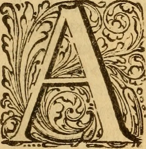 An illustration from Lexicon medicum Graeco-Latinum, 1665, leaf 24