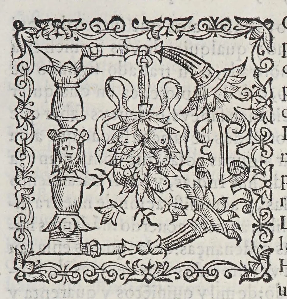 An illustration from Leyes y ordenanzas nuevamente hechas por Su Magestad, para la gouernacion de las Indias, y buen tratamiento, y conseruacion de los Indios: : que se han guardar en el consejo y audiencias reales que en ellas residen: y por todos los otros gouernadores, juezes y personas particulares dellas., 1585, leaf 29