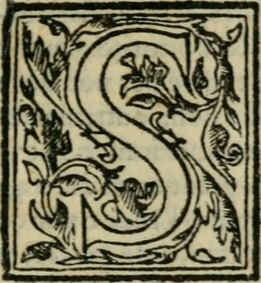An illustration from Lezzione di m. Francesco de' Vieri fiorentino, detto il Verino secondo : per recitarla nell' Accademia fiorentina, nel consolato di m. Federigo Strozzi, l'anno 1580 : dove si ragiona delle idee et delle bellezze, 1581, leaf 10