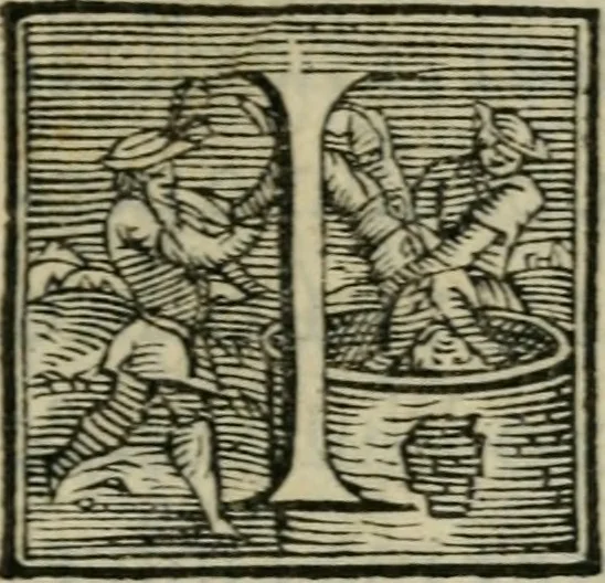 An illustration from Lezzione di m. Francesco de' Vieri fiorentino, detto il Verino secondo : per recitarla nell' Accademia fiorentina, nel consolato di m. Federigo Strozzi, l'anno 1580 : dove si ragiona delle idee et delle bellezze, 1581, leaf 6