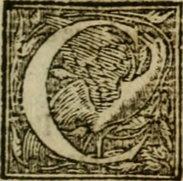 An illustration from L'Harmonie et conférence des magistrats romains avec les officier français, tant laiz que ecclésiastiques.., 1574, leaf 16