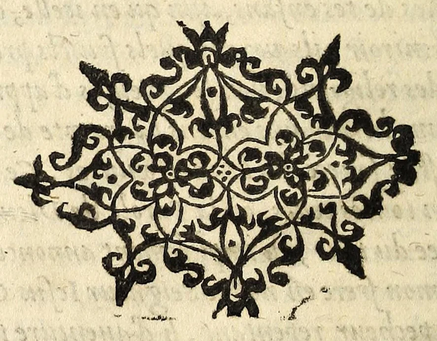 An illustration from L'histoire memorable de la conversion de Iean Guy, parricide, & la constance de sa mort: natif de Chastillon sur Loing, & executé audict lieu ..., 1566, leaf 20