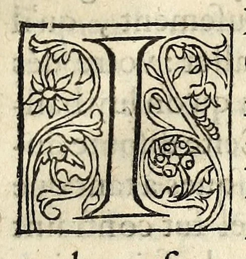 An illustration from L'histoire memorable de la conversion de Iean Guy, parricide, & la constance de sa mort: natif de Chastillon sur Loing, & executé audict lieu ..., 1566, leaf 21
