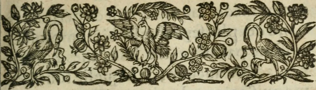 An illustration from L'histoire de la conqveste des pays de Bresse et de Savoye, par le Roy treschrestien, 1601, leaf 10