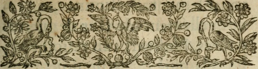 An illustration from L'histoire de la conqveste des pays de Bresse et de Savoye, par le Roy treschrestien, 1601, leaf 20