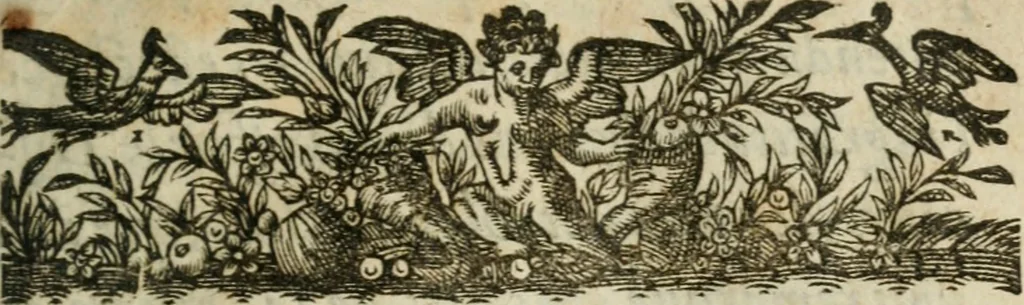 An illustration from L'histoire de la conqveste des pays de Bresse et de Savoye, par le Roy treschrestien, 1601, leaf 6