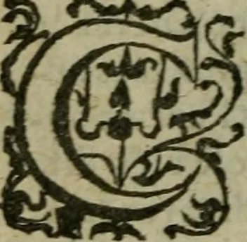 An illustration from L'histoire de la naissance, progrez, et decadence de l'heresie de ce siecle. Divisee en hvit livres, 1611, leaf 117