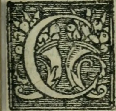 An illustration from L'histoire de la naissance, progrez, et decadence de l'heresie de ce siecle. Divisee en hvit livres, 1611, leaf 162