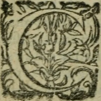 An illustration from L'histoire de la naissance, progrez, et decadence de l'heresie de ce siecle. Divisee en hvit livres, 1611, leaf 177