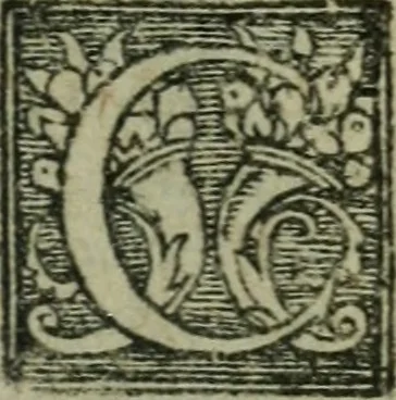 An illustration from L'histoire de la naissance, progrez, et decadence de l'heresie de ce siecle. Divisee en hvit livres, 1611, leaf 238