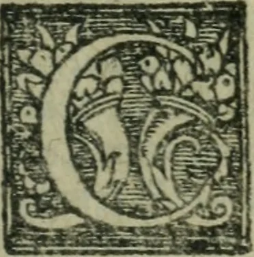 An illustration from L'histoire de la naissance, progrez, et decadence de l'heresie de ce siecle. Divisee en hvit livres, 1611, leaf 248