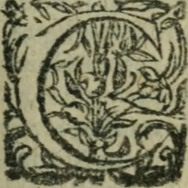An illustration from L'histoire de la naissance, progrez, et decadence de l'heresie de ce siecle. Divisee en hvit livres, 1611, leaf 572