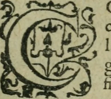 An illustration from L'histoire de la naissance, progrez, et decadence de l'heresie de ce siecle. Divisee en hvit livres, 1611, leaf 612