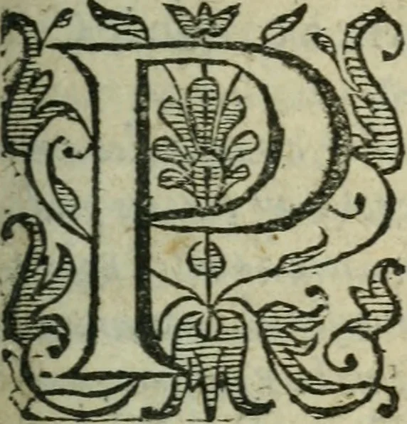 An illustration from L'histoire de la naissance, progrez, et decadence de l'heresie de ce siecle. Divisee en hvit livres, 1611, leaf 8
