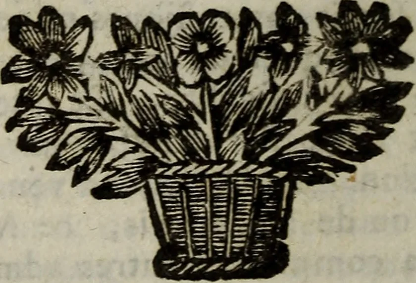 An illustration from L'Histoire du cardinal Mazarin., 1695, leaf 447