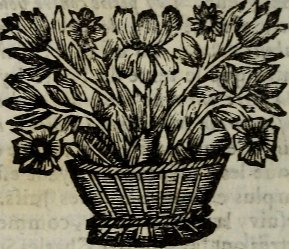 An illustration from L'Histoire du cardinal Mazarin., 1695, leaf 615