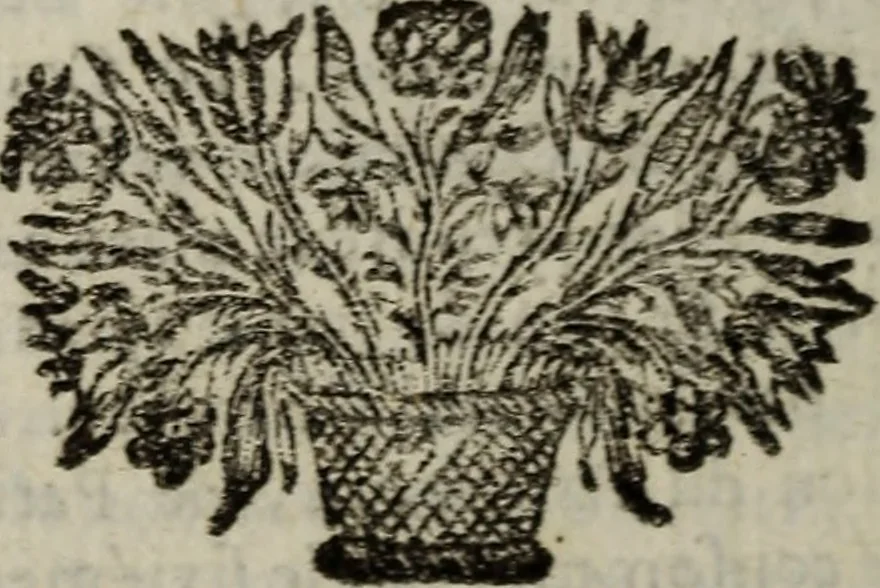 An illustration from L'Histoire du cardinal Mazarin., 1695, leaf 299