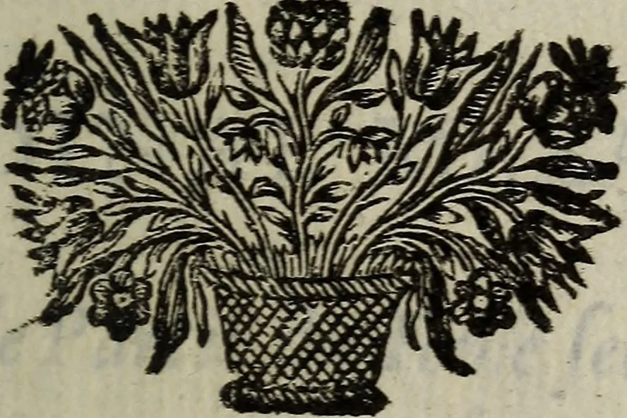 An illustration from L'Histoire du cardinal Mazarin., 1695, leaf 458