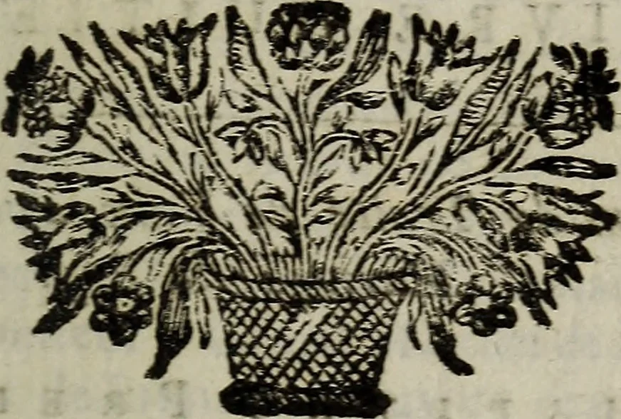 An illustration from L'Histoire du cardinal Mazarin., 1695, leaf 544