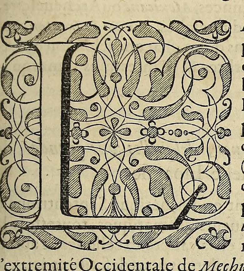 An illustration from L'histoire du nouveau monde ou Description des Indes Occidentales, : contenant dix-huict liures,, 1640, leaf 175