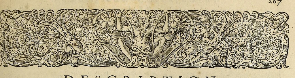 An illustration from L'histoire du nouveau monde ou Description des Indes Occidentales, : contenant dix-huict liures,, 1640, leaf 313