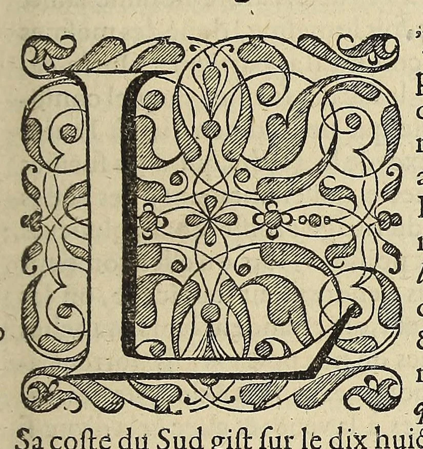 An illustration from L'histoire du nouveau monde ou Description des Indes Occidentales, : contenant dix-huict liures,, 1640, leaf 37