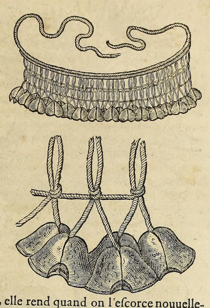 An illustration from L'histoire du nouveau monde ou Description des Indes Occidentales, : contenant dix-huict liures,, 1640, leaf 551