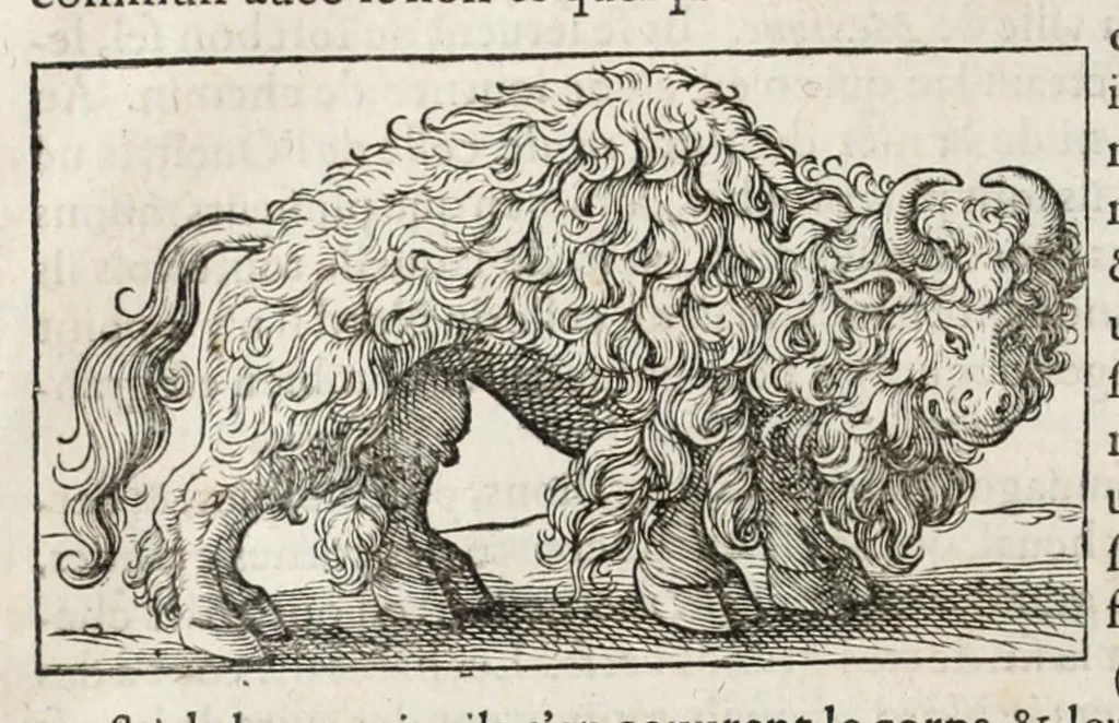 An illustration from L'histoire dv Nouveau monde, ou, Description des Indes occidentales : contenant dix-huict liures, 1640, leaf 122