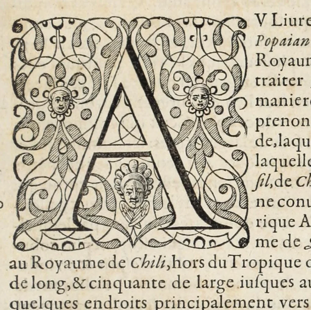 An illustration from L'histoire dv Nouveau monde, ou, Description des Indes occidentales : contenant dix-huict liures, 1640, leaf 229
