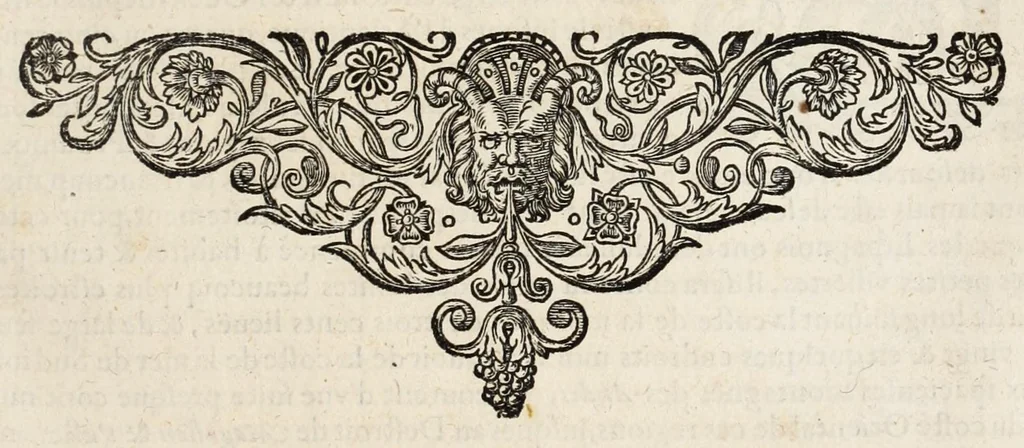 An illustration from L'histoire dv Nouveau monde, ou, Description des Indes occidentales : contenant dix-huict liures, 1640, leaf 319