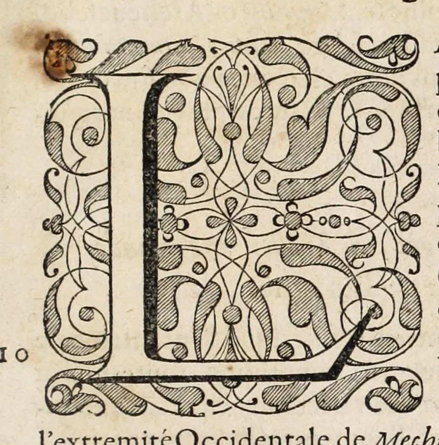 An illustration from L'histoire dv Nouveau monde, ou, Description des Indes occidentales : contenant dix-huict liures, 1640, leaf 33