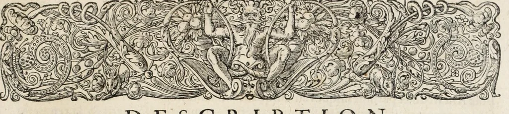 An illustration from L'histoire dv Nouveau monde, ou, Description des Indes occidentales : contenant dix-huict liures, 1640, leaf 349