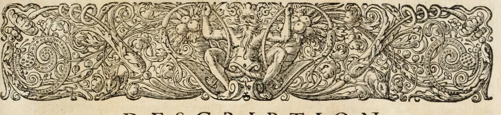 An illustration from L'histoire dv Nouveau monde, ou, Description des Indes occidentales : contenant dix-huict liures, 1640, leaf 399