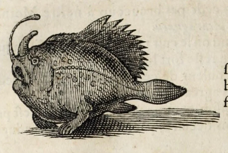 An illustration from L'histoire dv Nouveau monde, ou, Description des Indes occidentales : contenant dix-huict liures, 1640, leaf 436
