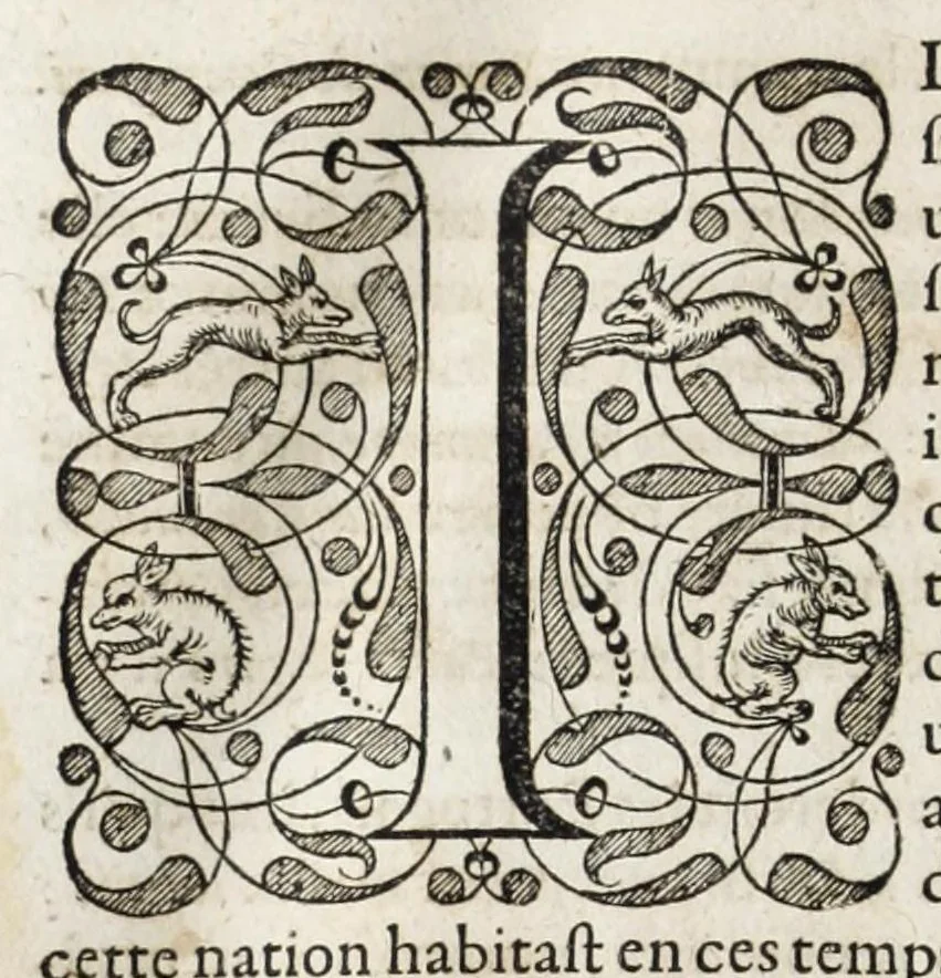 An illustration from L'histoire dv Nouveau monde, ou, Description des Indes occidentales : contenant dix-huict liures, 1640, leaf 462