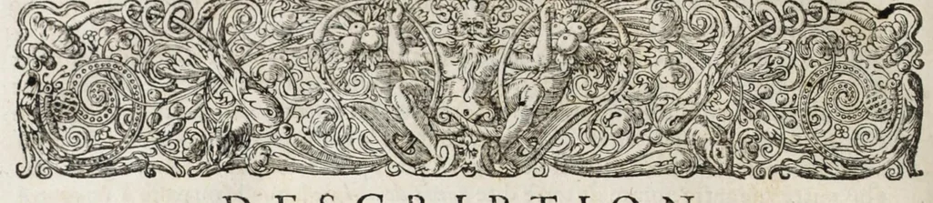 An illustration from L'histoire dv Nouveau monde, ou, Description des Indes occidentales : contenant dix-huict liures, 1640, leaf 490
