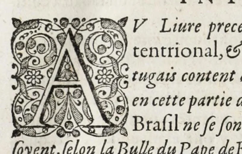 An illustration from L'histoire dv Nouveau monde, ou, Description des Indes occidentales : contenant dix-huict liures, 1640, leaf 490