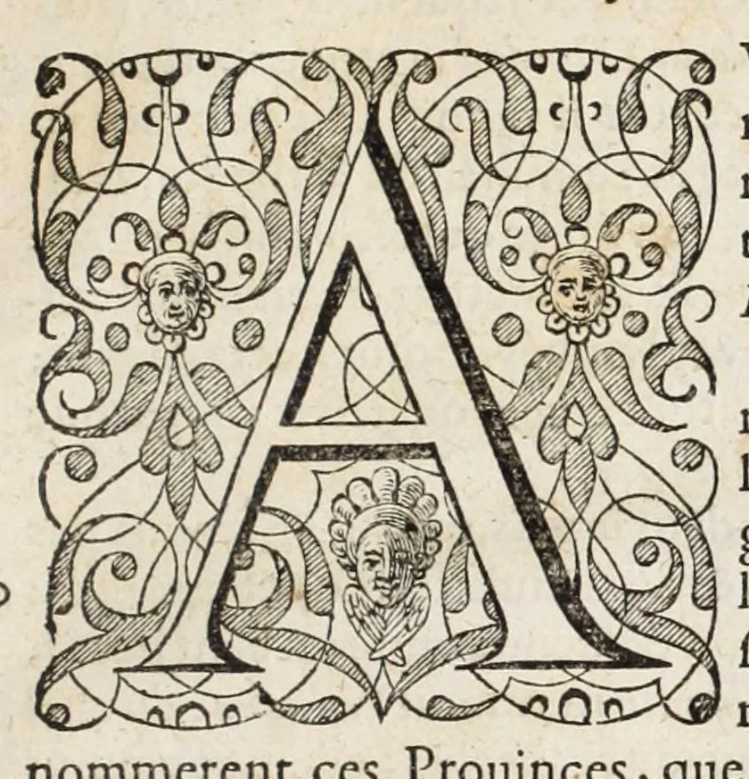 An illustration from L'histoire dv Nouveau monde, ou, Description des Indes occidentales : contenant dix-huict liures, 1640, leaf 495