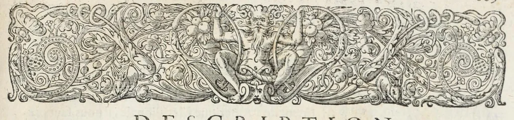 An illustration from L'histoire dv Nouveau monde, ou, Description des Indes occidentales : contenant dix-huict liures, 1640, leaf 543