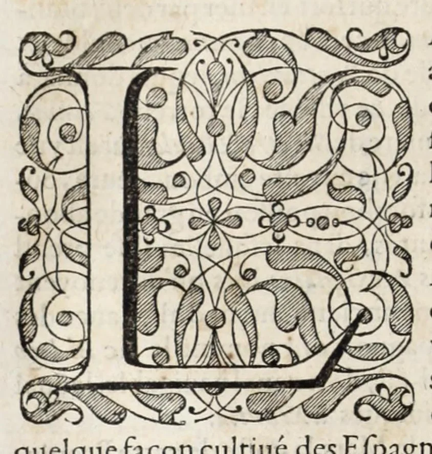 An illustration from L'histoire dv Nouveau monde, ou, Description des Indes occidentales : contenant dix-huict liures, 1640, leaf 96