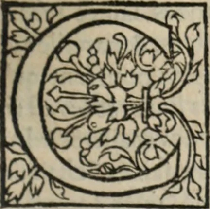 An illustration from L'histoire ecclesiastiqve, 1553, leaf 106