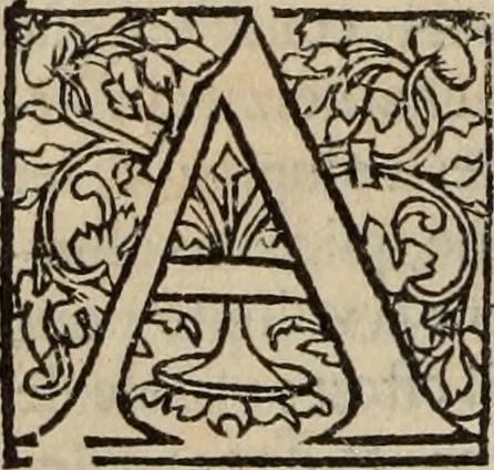 An illustration from L'histoire ecclesiastiqve, 1553, leaf 117