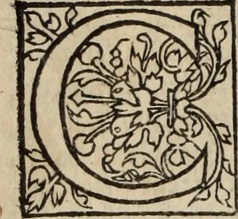 An illustration from L'histoire ecclesiastiqve, 1553, leaf 123