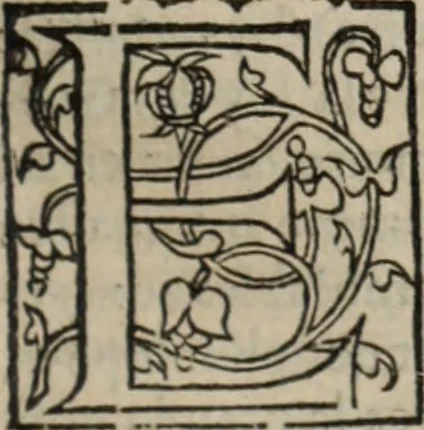 An illustration from L'histoire ecclesiastiqve, 1553, leaf 128