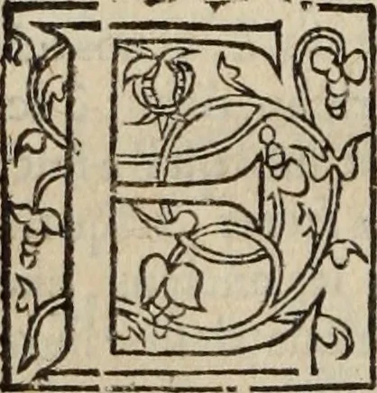 An illustration from L'histoire ecclesiastiqve, 1553, leaf 133